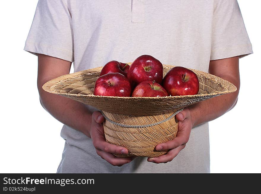 The crop of apples is collected in a straw hat which is had control over by the man. The crop of apples is collected in a straw hat which is had control over by the man.