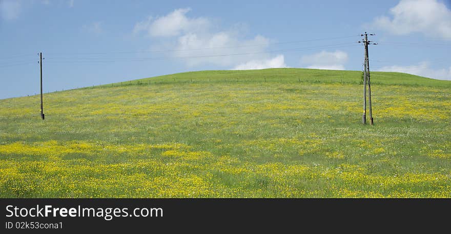 Yellow Hills in the Allgäu, Germany