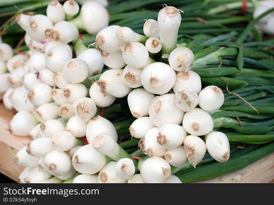 These bunches of young white onions were stacked at a market stand in Yorktown, Va. These bunches of young white onions were stacked at a market stand in Yorktown, Va.