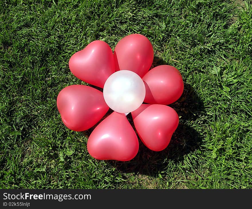 Balon flower