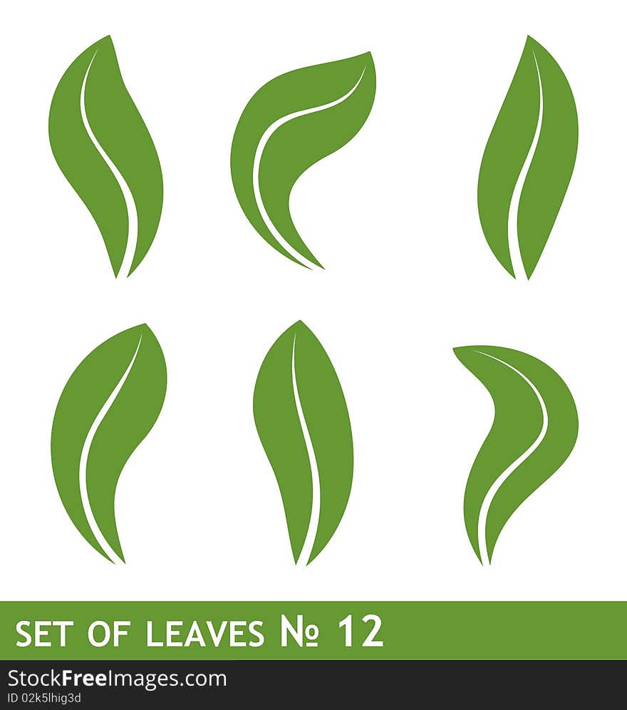 Leaves Set For Design