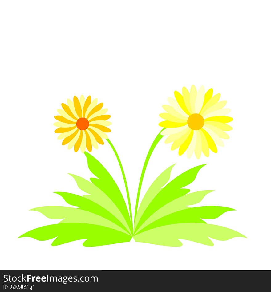 Illustration of spring flowers for design. Vector. Illustration of spring flowers for design. Vector