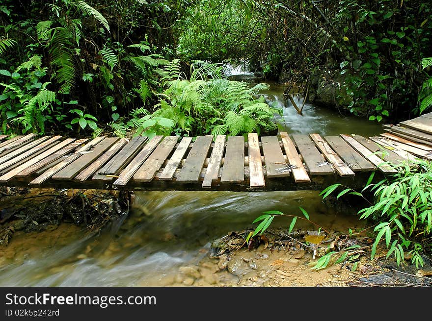 Pong nam dang waterfall