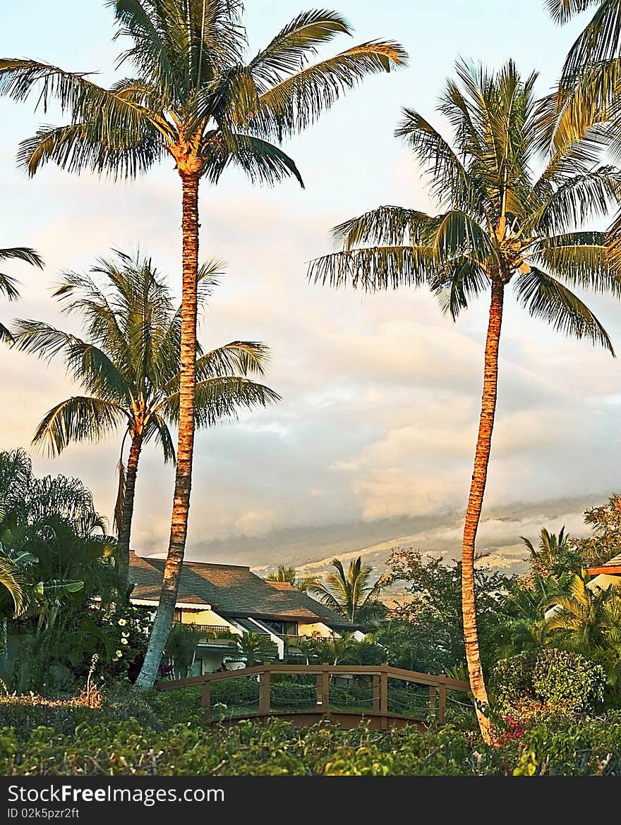 A condo resort located in Kihei, Hawaii. A condo resort located in Kihei, Hawaii