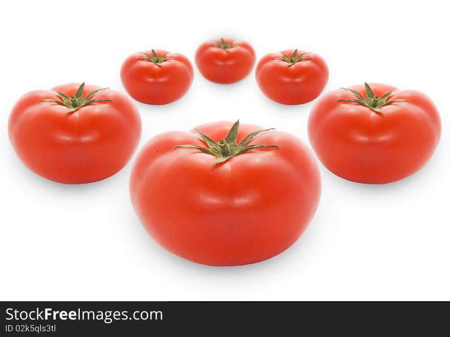 Red and fresh tomatoes on a white background. Red and fresh tomatoes on a white background