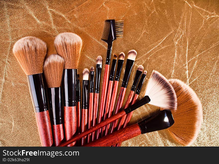 Professional cosmetics brushes