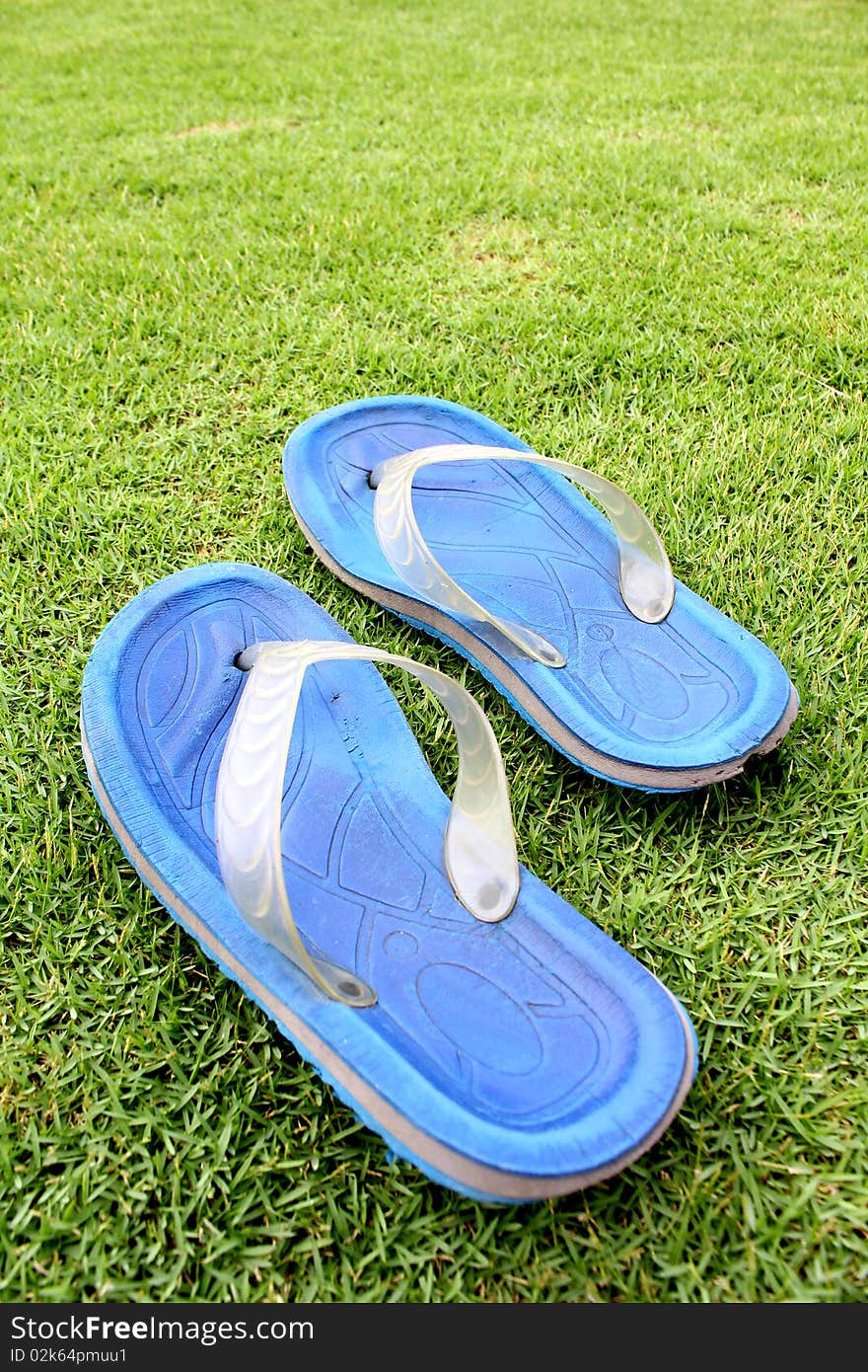 A pair of blue Flip Flop on Grass