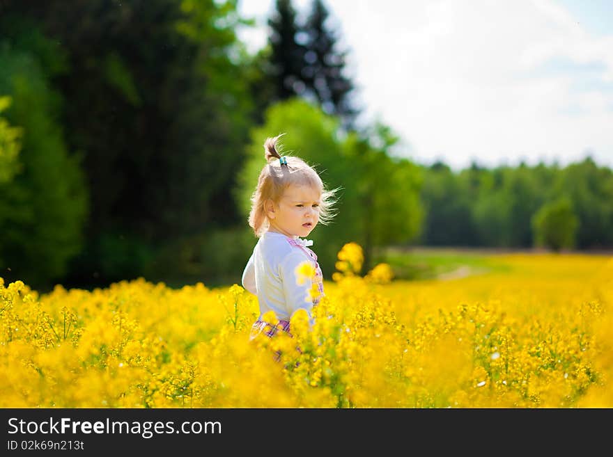 Little girl on the meadow