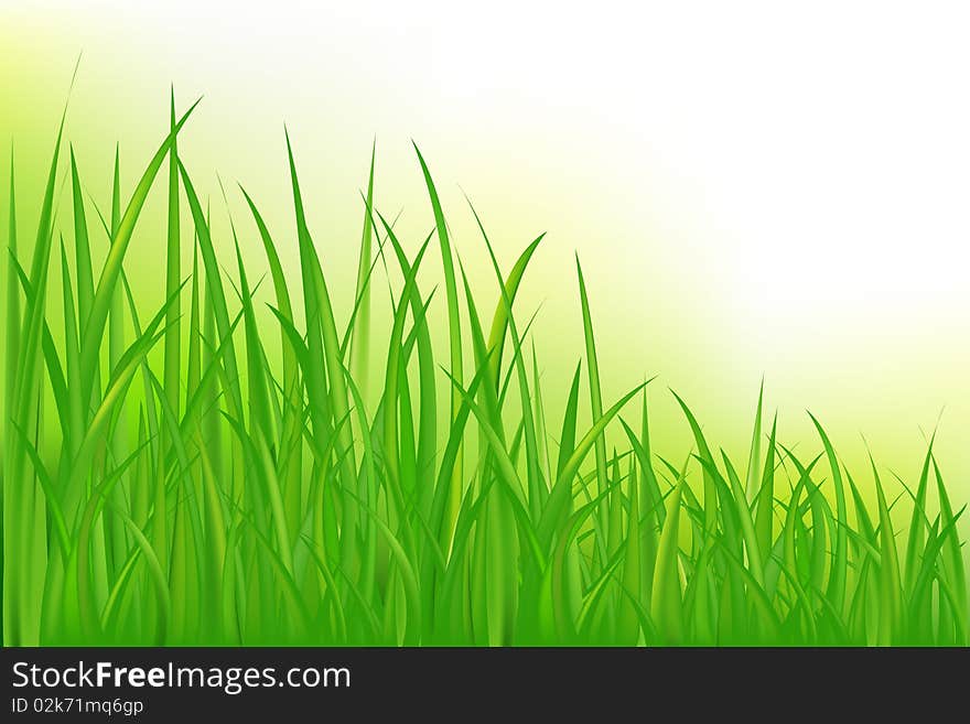 Green Grass On Nature Blur Background. Green Grass On Nature Blur Background