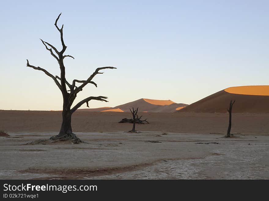 Dead tree and dunes at Dead Vlei at Sossusvlei in Namibia. Dead tree and dunes at Dead Vlei at Sossusvlei in Namibia