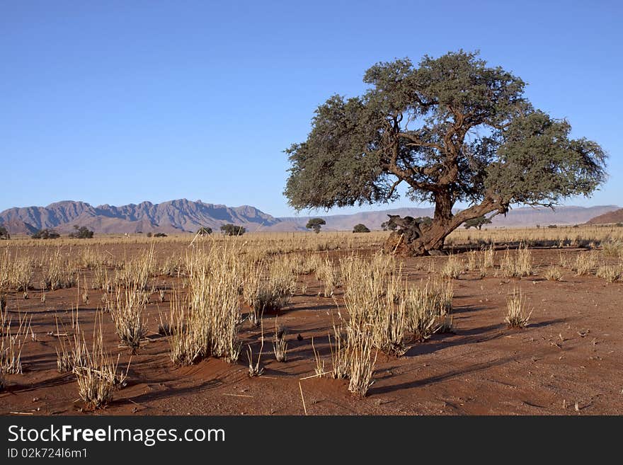 Landscape scene in Naukluft national park in Namibia. Landscape scene in Naukluft national park in Namibia