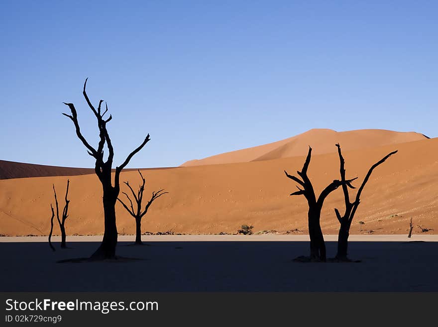 Silhouette of trees at dead Vlei in Namibia, with orange sand dunes in the background. Silhouette of trees at dead Vlei in Namibia, with orange sand dunes in the background