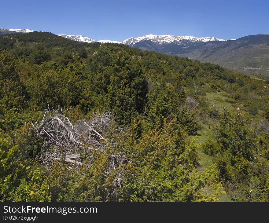 Pyrenees