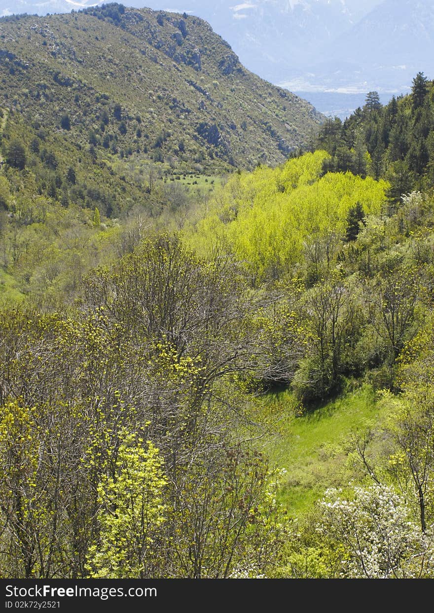 Pyrenees