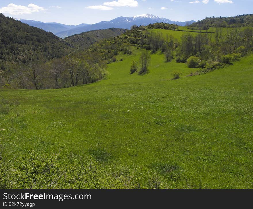 Pyrenees