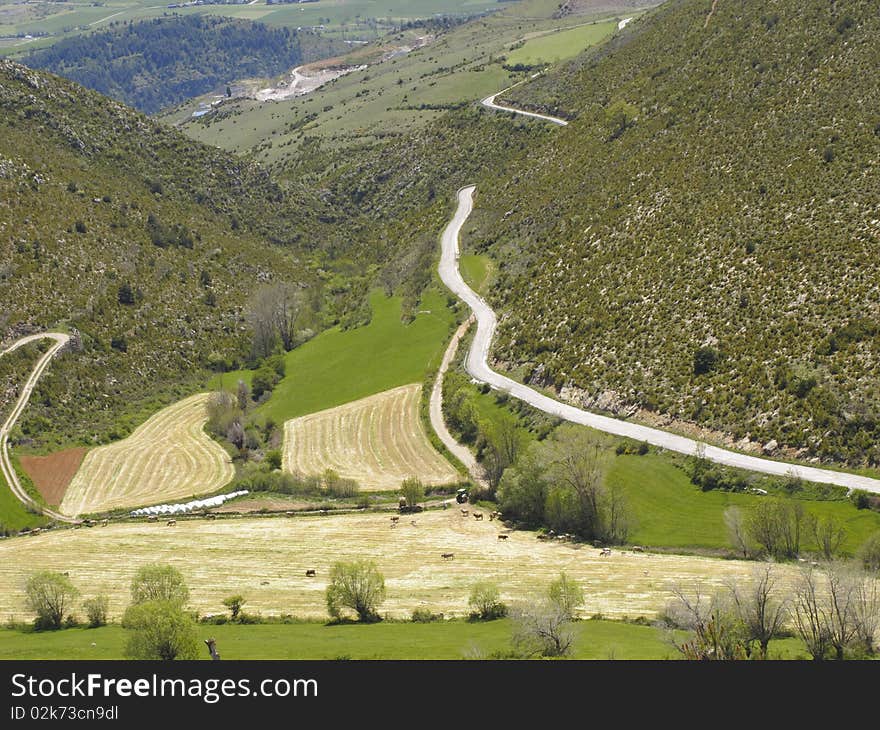 Pyrenees