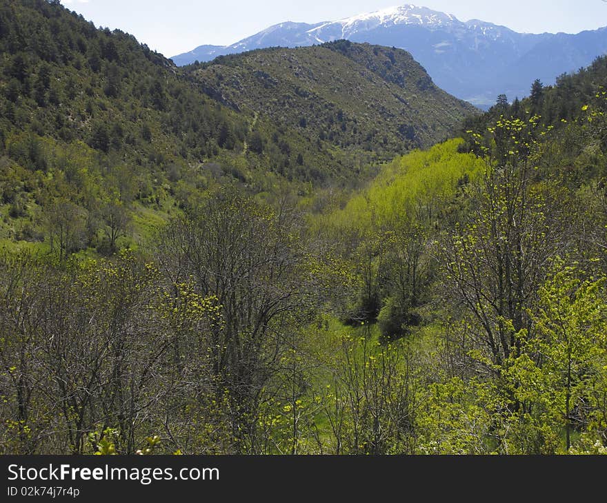 Pyrenees