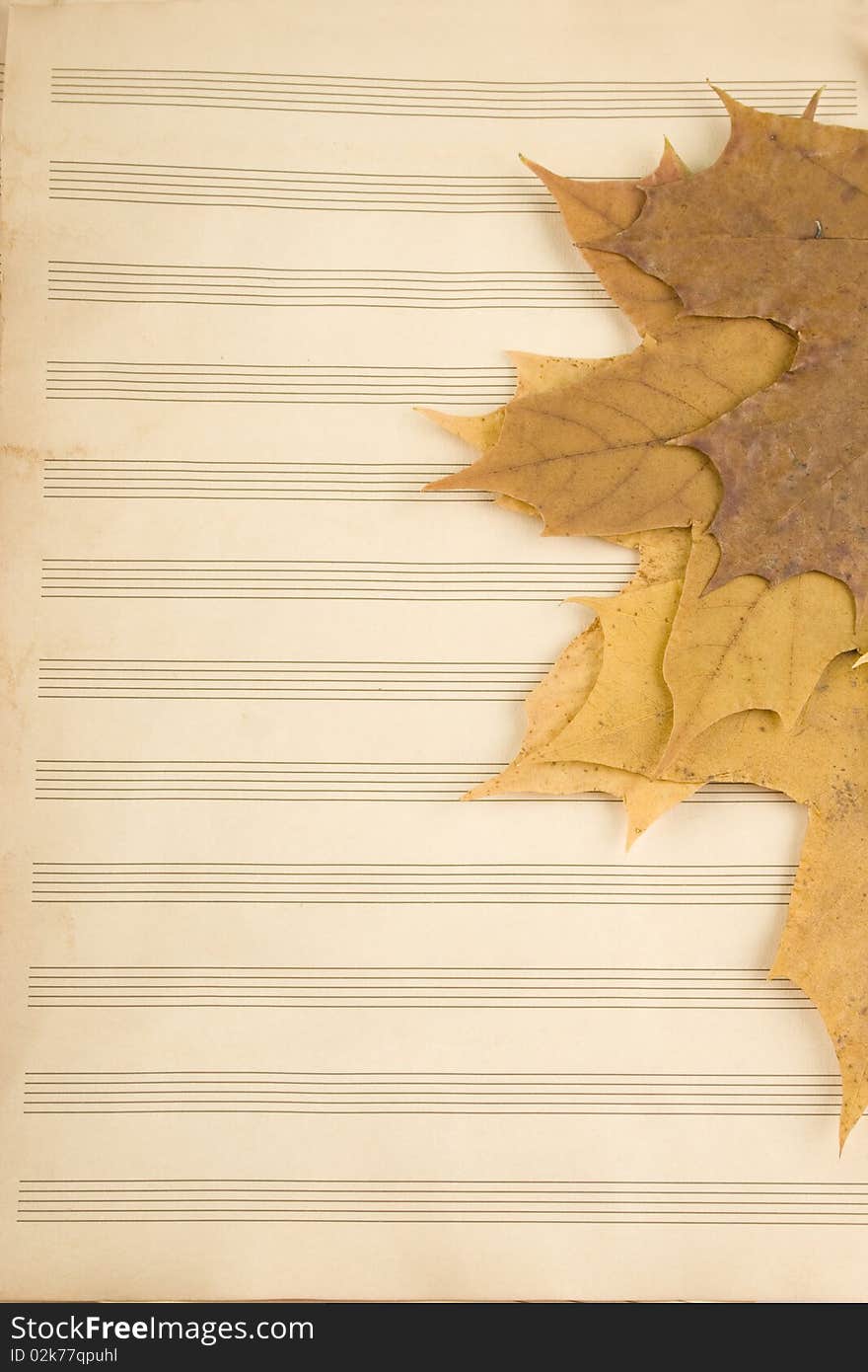 The old music books which are autumn leaves of maple. The old music books which are autumn leaves of maple