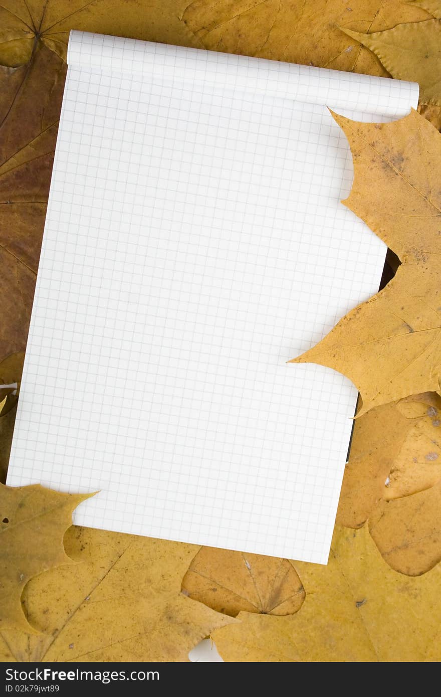 Against the backdrop of autumn leaves yellow notebook. Against the backdrop of autumn leaves yellow notebook