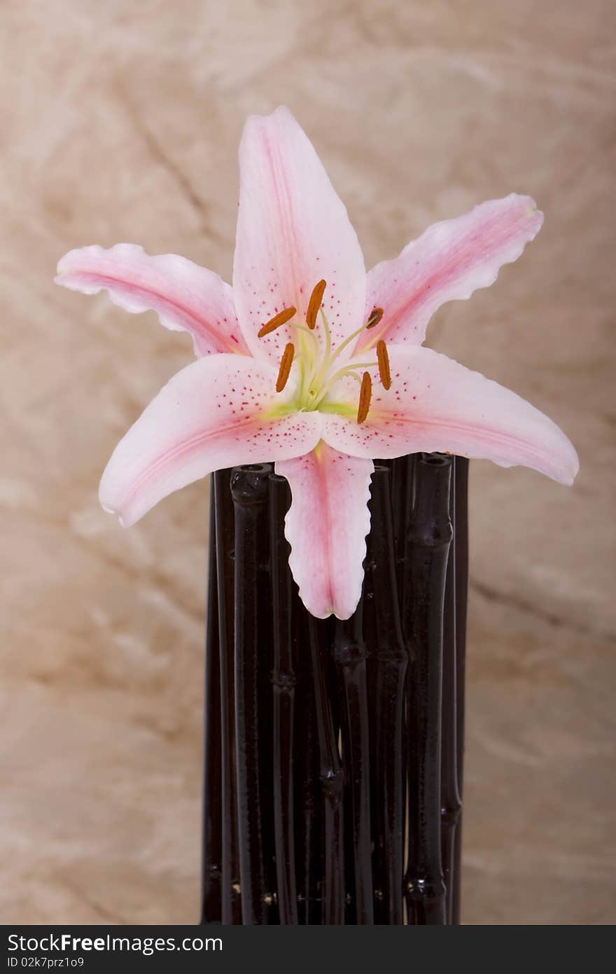 Pink lily flower on top of bamboo material