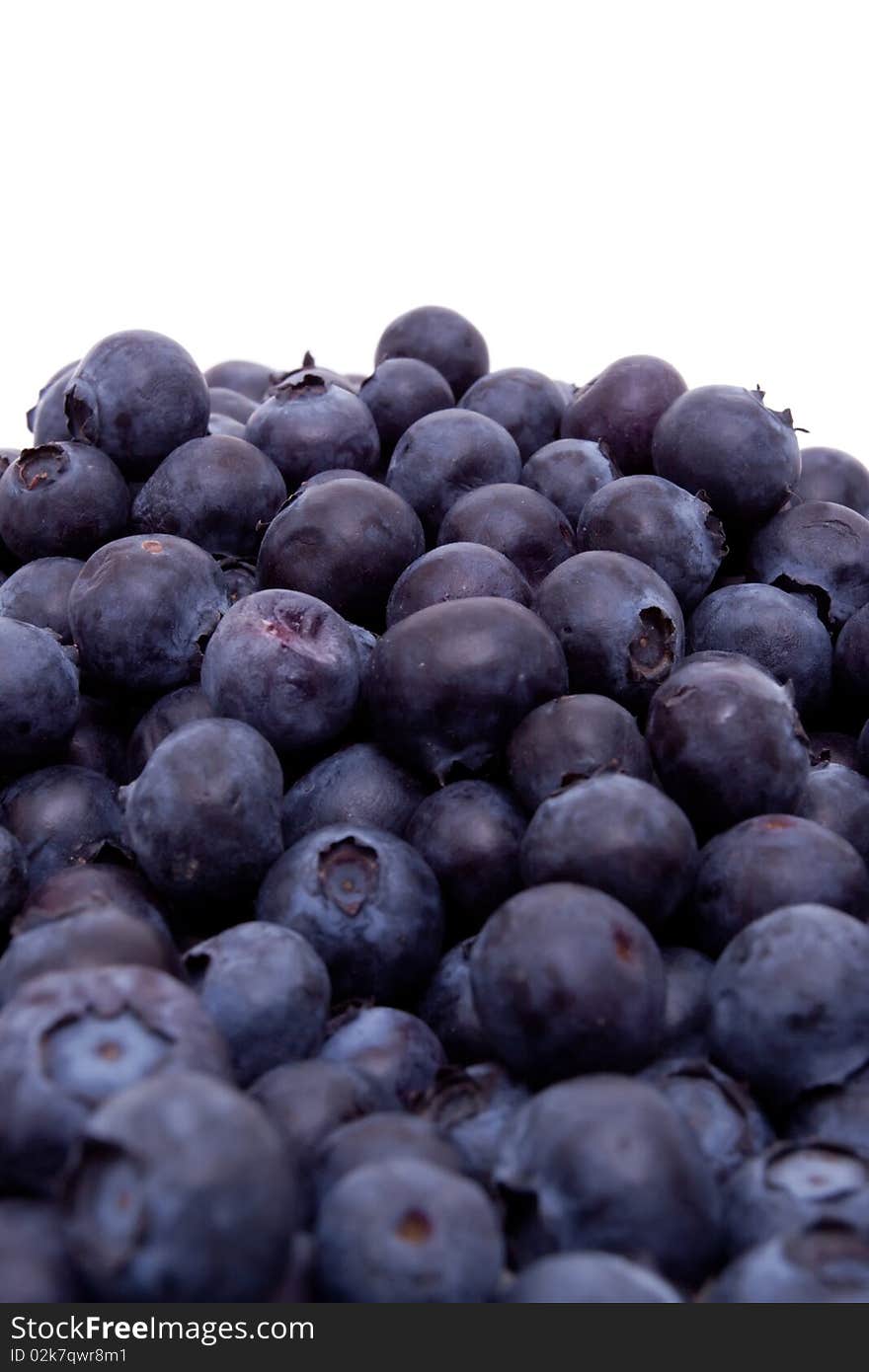 Fresh blueberries on white background