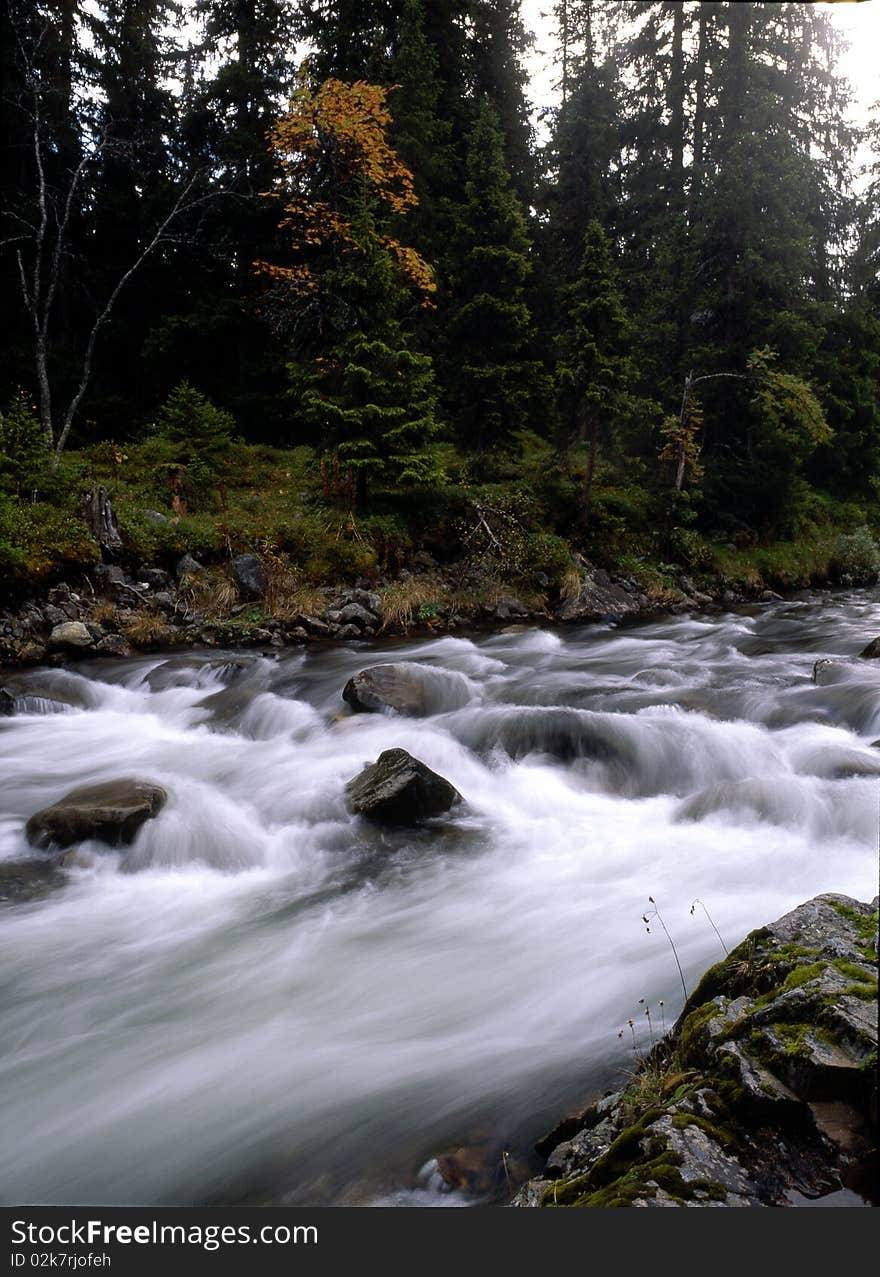 Flowing river in the forest