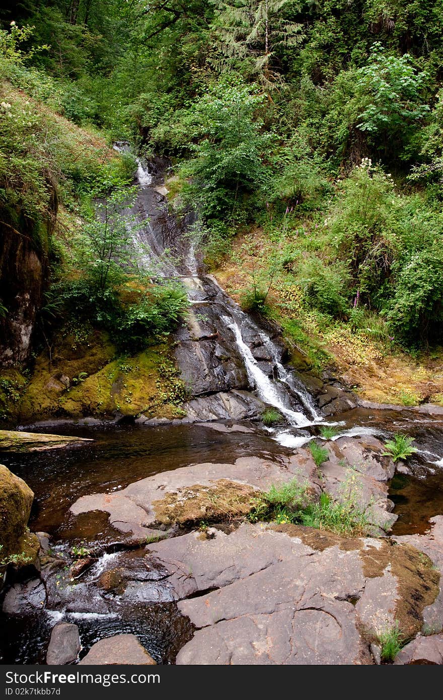 Sweet Creek Falls