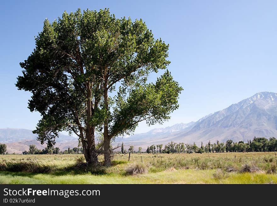 Farmland in the western United States