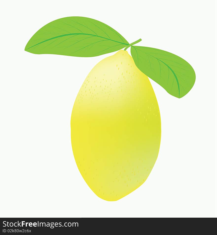 Illustration of the whole, juicy lemon with two leaves