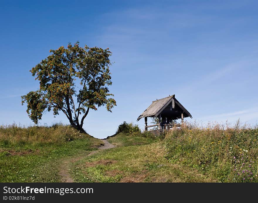 Meadow and tree