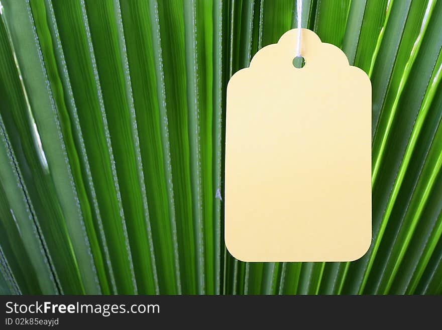 The branch of a palm tree as a background on which hangs a label. The branch of a palm tree as a background on which hangs a label.