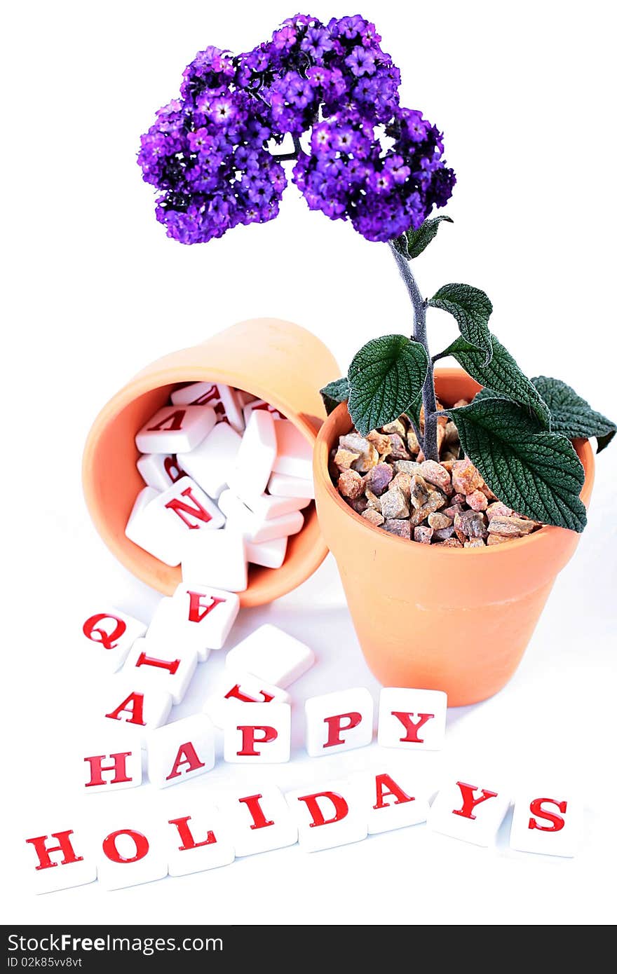 Flower in a ceramic pot, nearby from a similar pot letters get enough sleep and develop in inscription Happy Holidays.