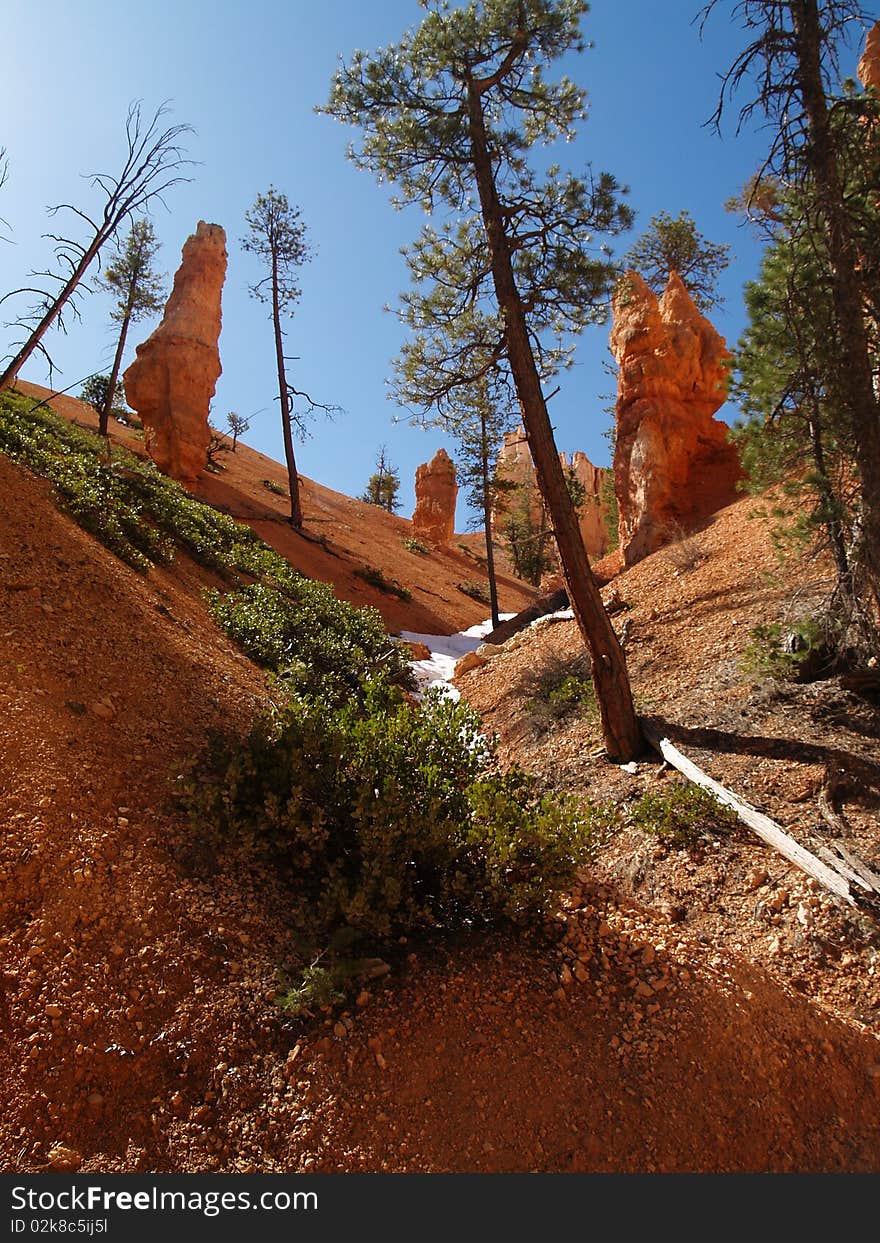 Bryce Canyon Along Peekaboo Trail