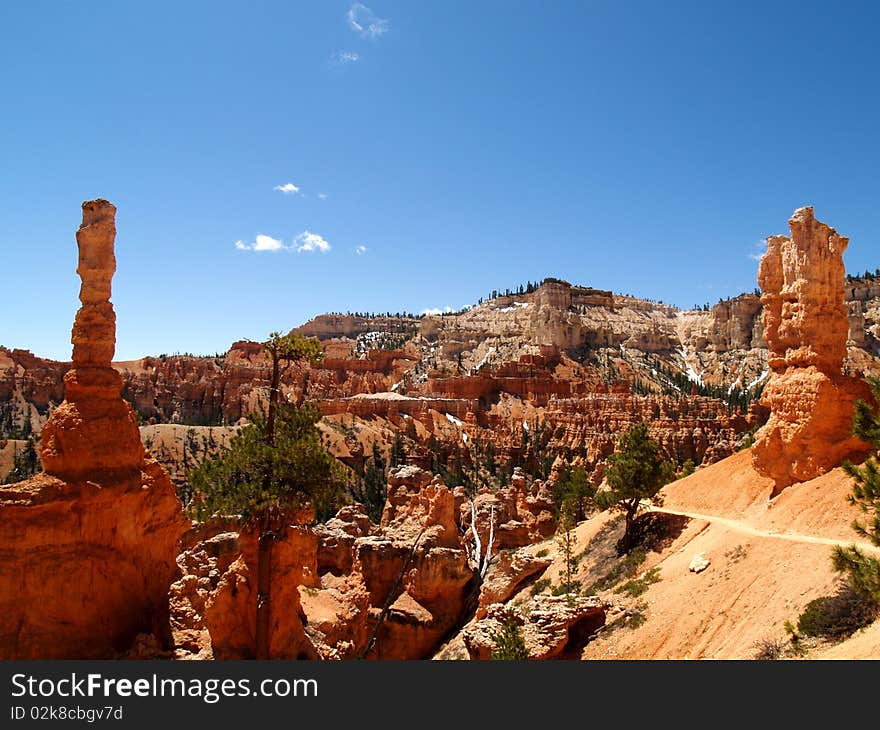 View of a  , hoodoos and cliffs along the trail at Bryce canyon, Ut. View of a  , hoodoos and cliffs along the trail at Bryce canyon, Ut