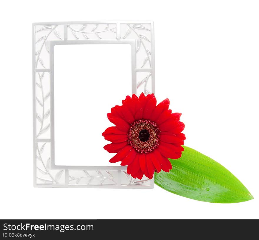 Frame With Leaf And Flower