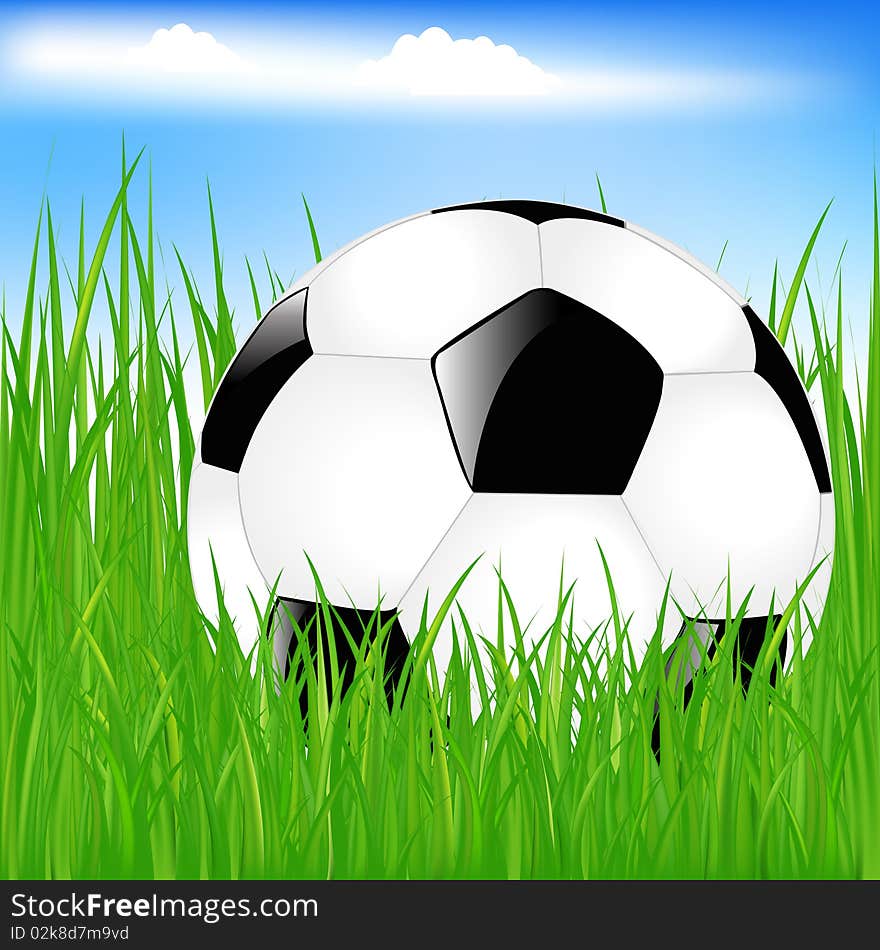 Classic Soccer Ball In Grass. Vector