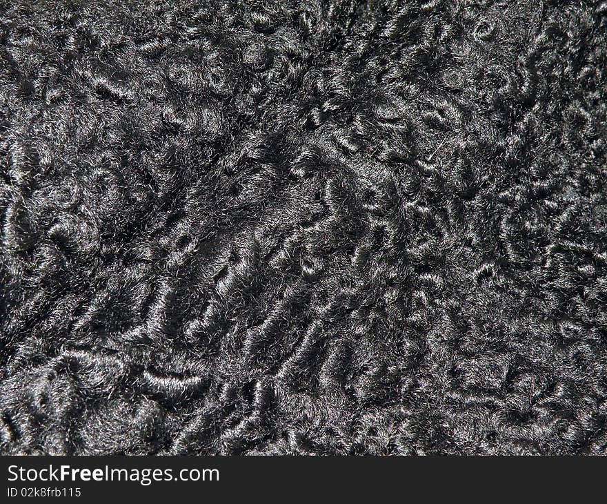 Black astrakhan textures suitable as background. Black astrakhan textures suitable as background