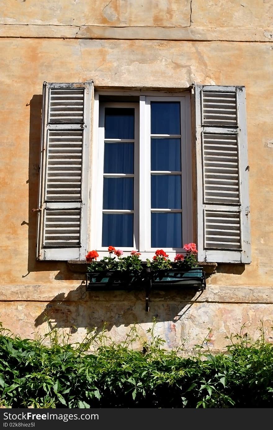 Window