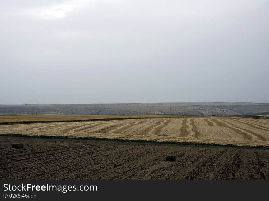 Landscape with rural field