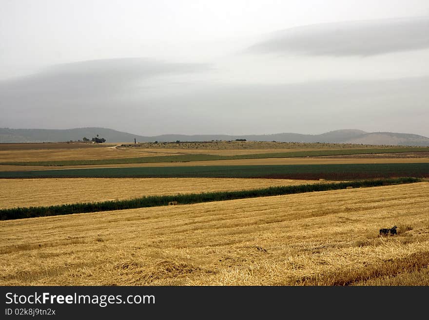 Landscape with rural fields at hot summer