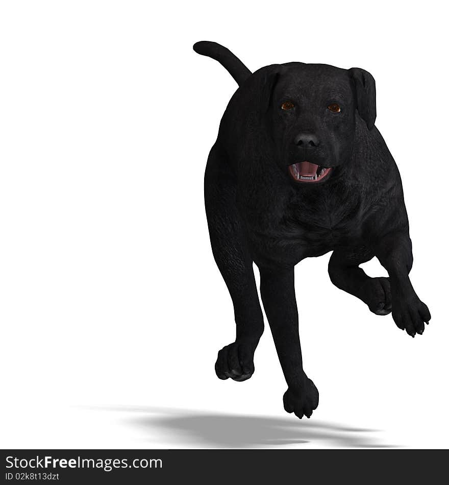 Labrador Retriever Dog. 3D rendering with