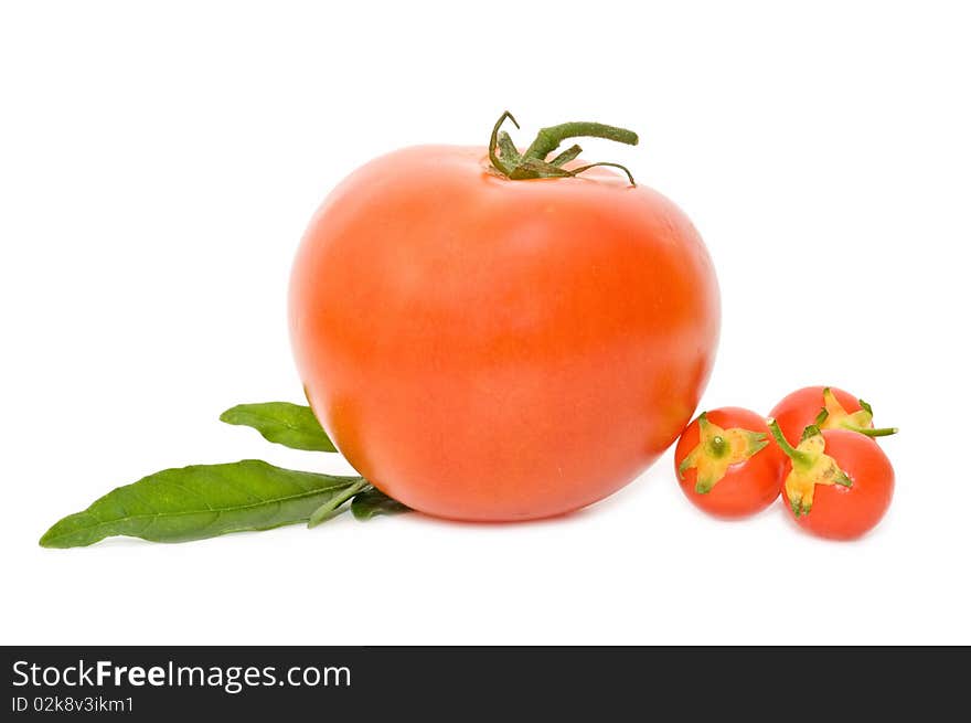 Fresh tomatoes isolated on white background