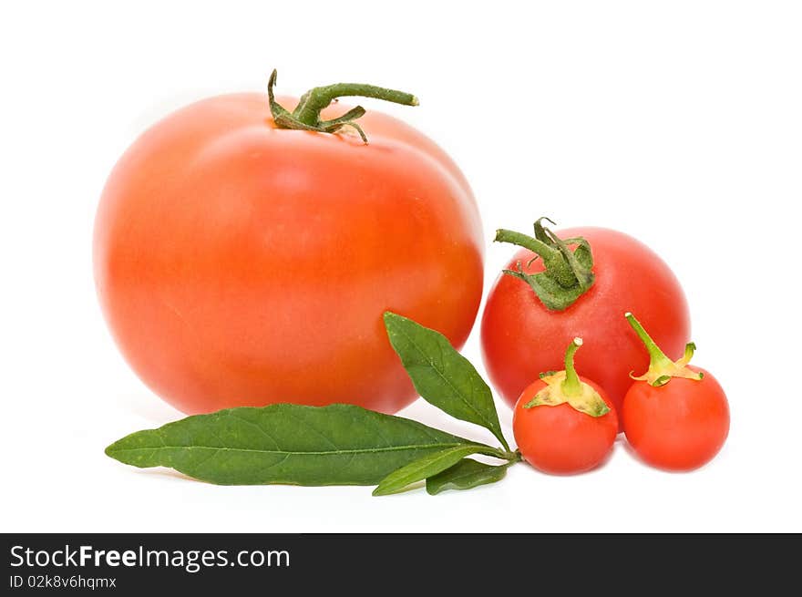 Fresh tomato isolated on white background