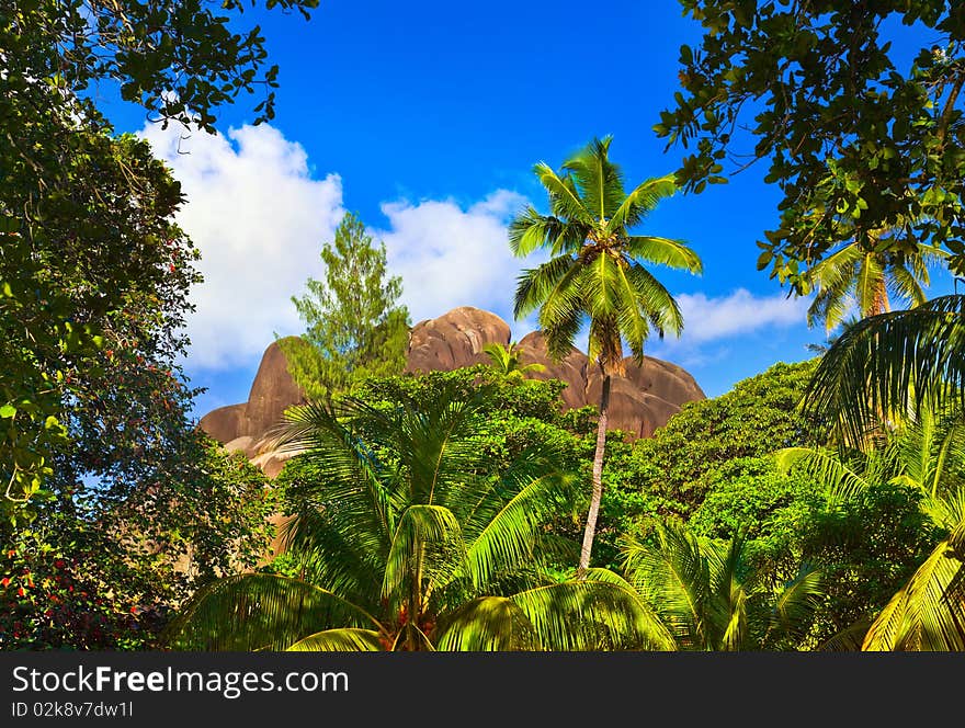 Tropical landscape at Seychelles - vacation background