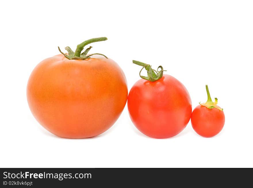 Fresh tomato isolated on white background