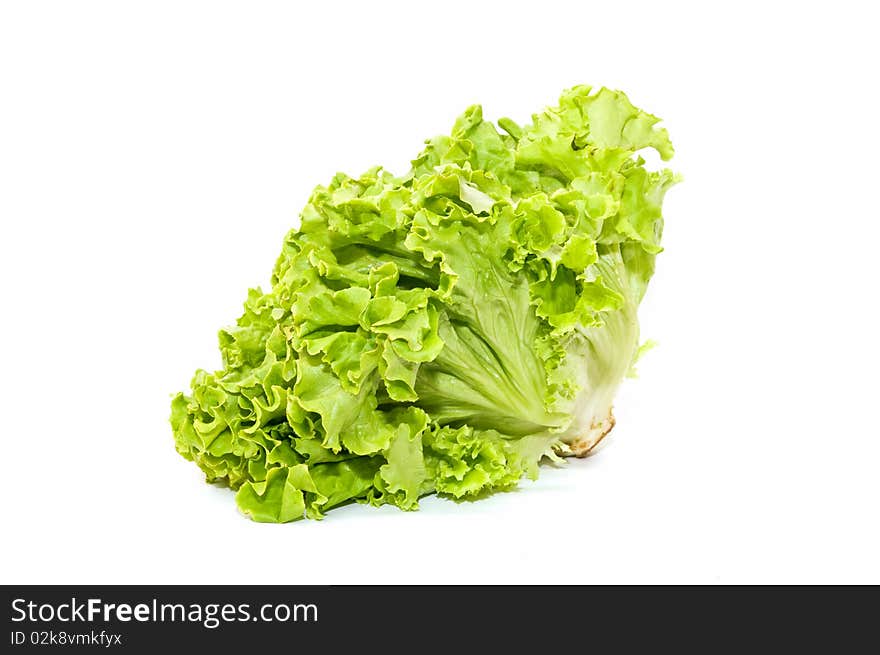 Lettuce isolated on white background