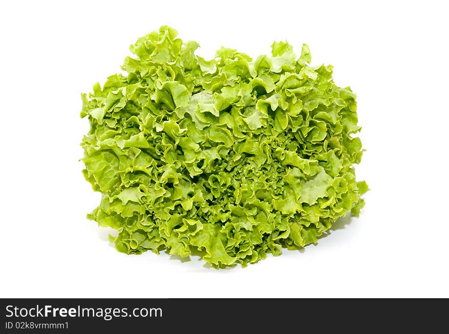 Lettuce isolated on white background