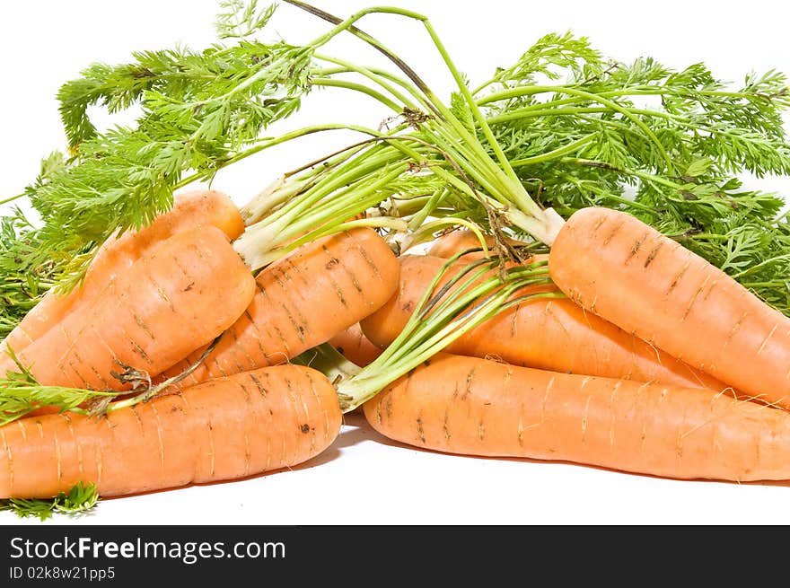 Fresh Carrots