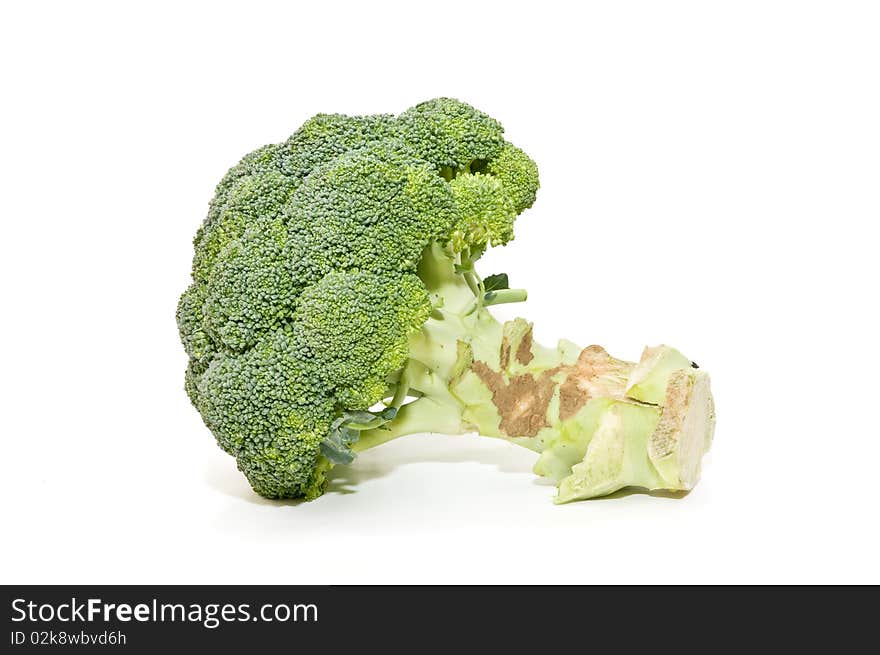 Fresh Broccoli