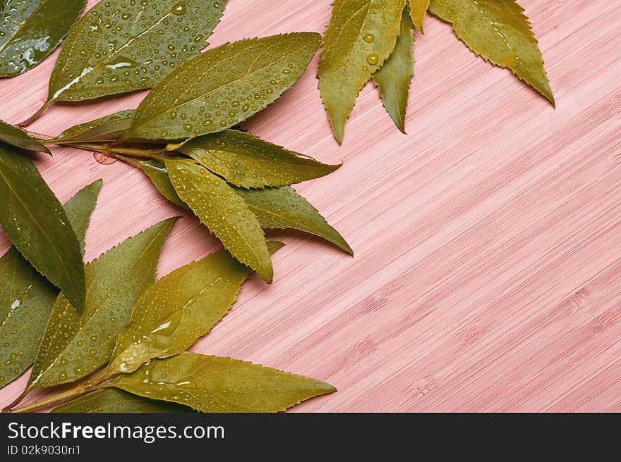 Background with green leaves . Spa abstract. Background with green leaves . Spa abstract